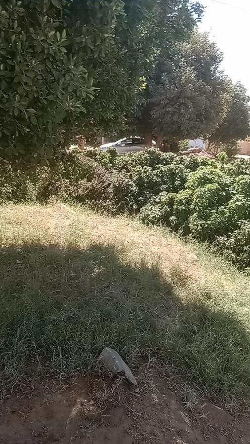 بيت شمس Aswan Eksteriør bilde