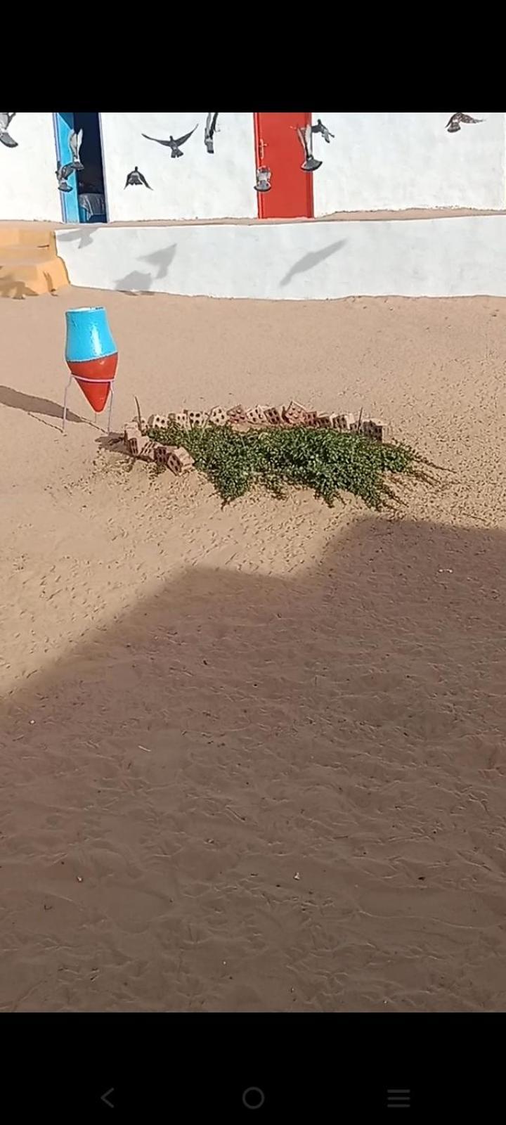 بيت شمس Aswan Eksteriør bilde