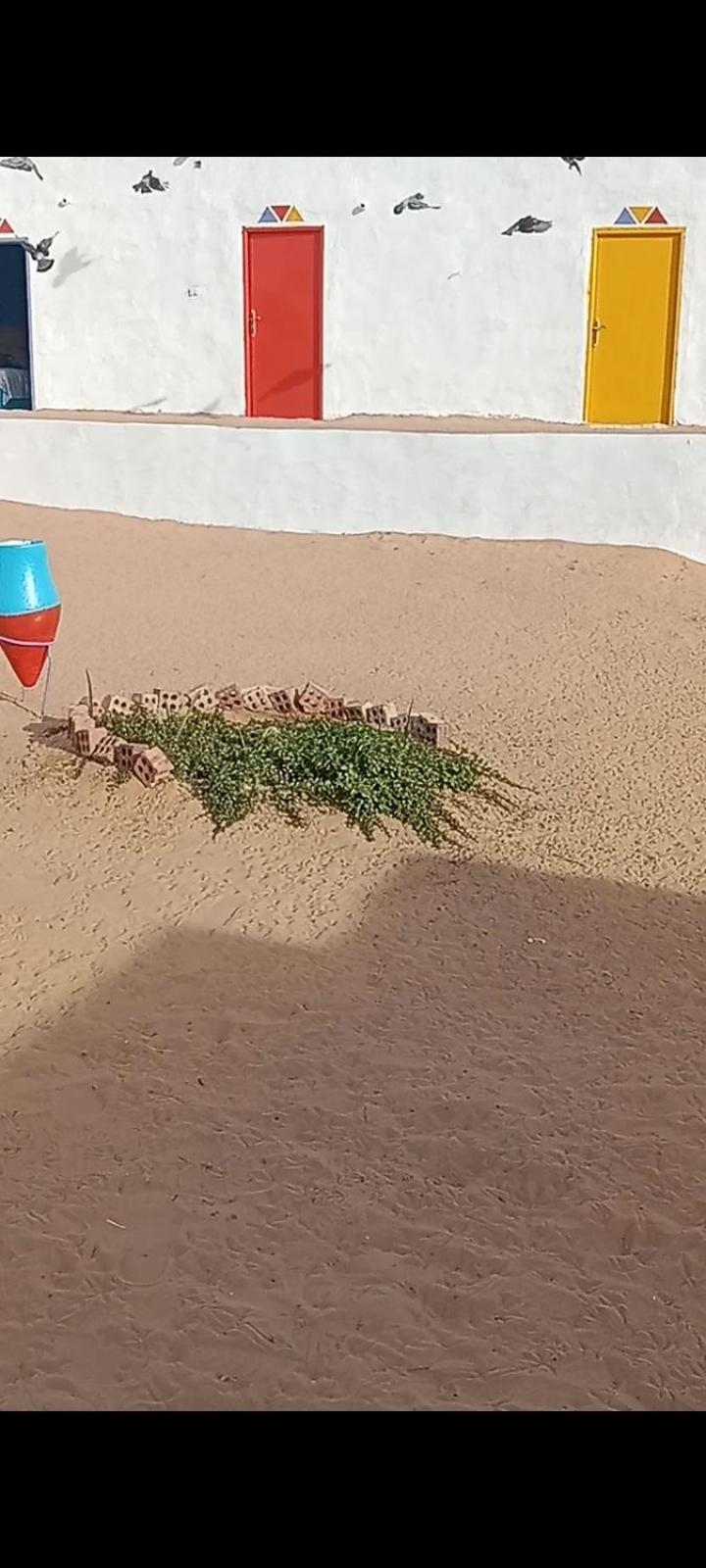 بيت شمس Aswan Eksteriør bilde